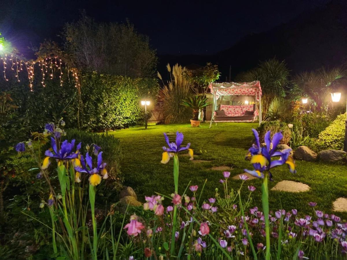 Casa Vacanze Family Альбізола-Суперіоре Екстер'єр фото